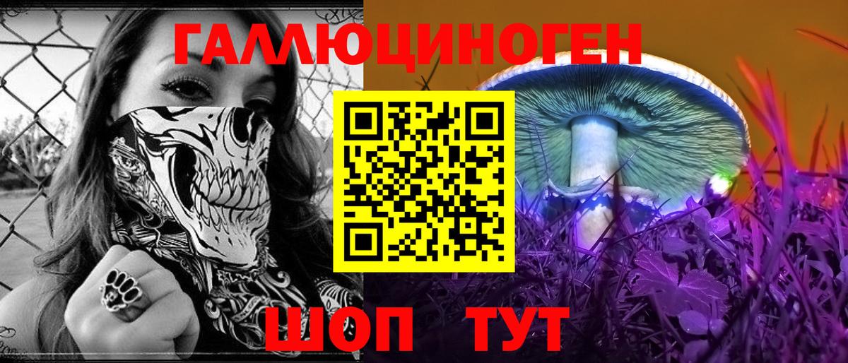Галлюциногенные грибы Psilocybe  Вход с VPN  Гулькевичи 